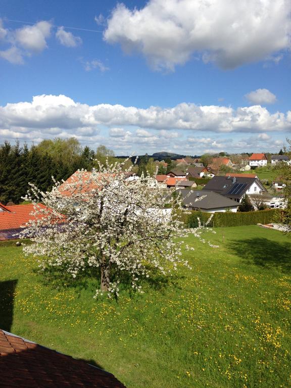 Ferienhaus Annabell Weisbach  Экстерьер фото