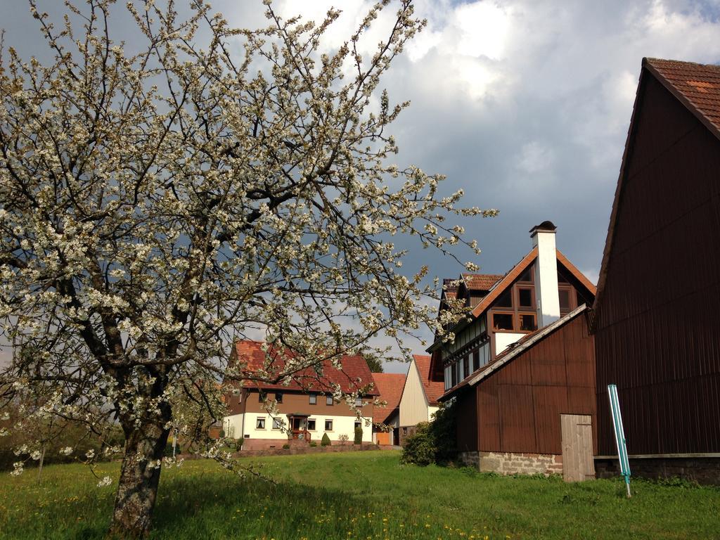 Ferienhaus Annabell Weisbach  Экстерьер фото