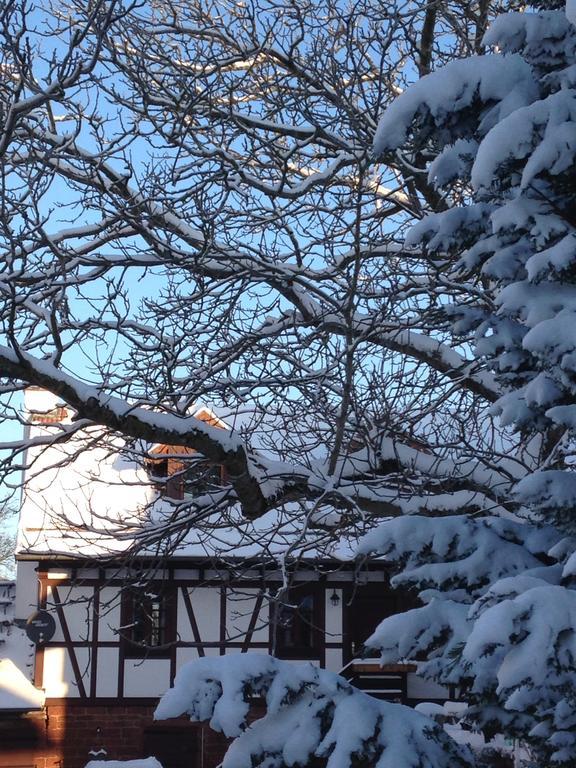 Ferienhaus Annabell Weisbach  Экстерьер фото